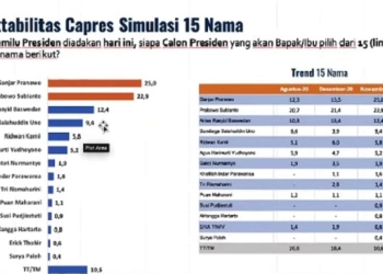 Pencapresan Puan Maharani Tak Terpengaruh Hasil Survei