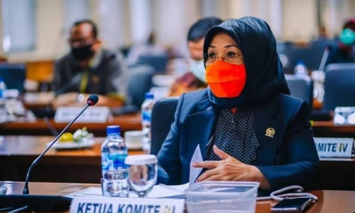  Komite III DPD RI akan Panggil IDI
