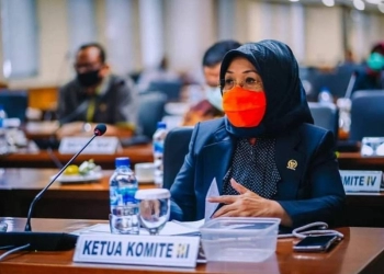  Komite III DPD RI akan Panggil IDI
