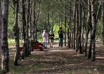 Taman Pendidikan Mangrove Labuhan Langkah Nyata Tahan Laju Abrasi