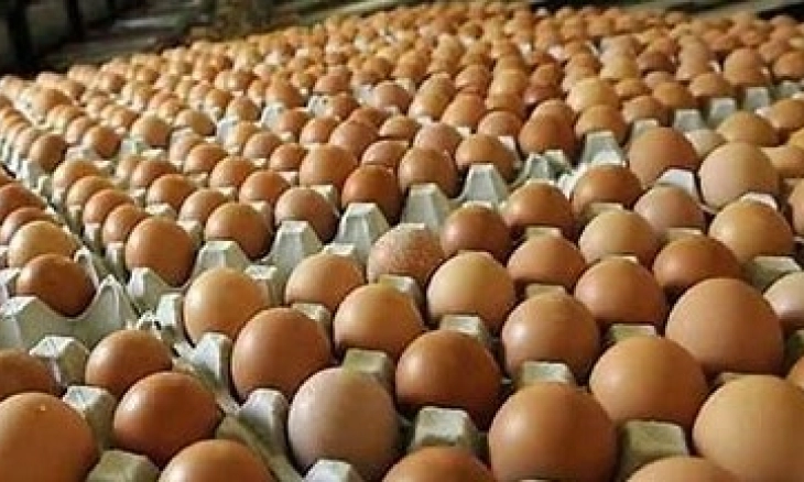 Penyebab Harga Telur Naik? Ini Kata Pakar IPB