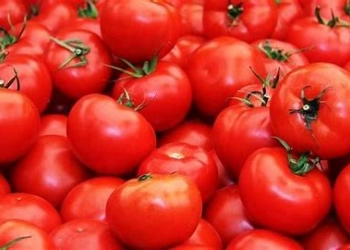 Termasuk Tomat, 6 Jenis Makanan Ini Dapat Bantu Turunkan Risiko Kanker