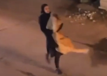 Viral!!! Seorang Wanita Menggendong Singa di Jalanan 