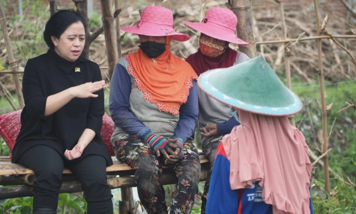 Banyak Utang karena Rugi Panen, Petani Curhat ke Puan