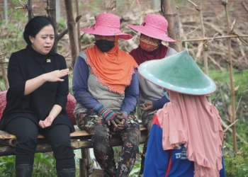 Polisi Harus Berantas Sindikat Mafia Pupuk Bersubsidi