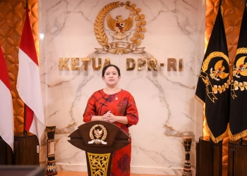 Publik Perlu Dilibatkan dalam Pembentukan Regulasi Turunan UU IKN 