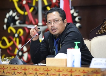 Kalsel akan Jadi Daerah Penyangga Utama Pasca Penetapan IKN Nusantara di Kaltim