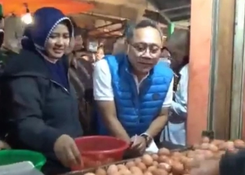 Mendag Zulkifli Klaim Harga Sejumlah Bahan Pokok Alami Penurunan
