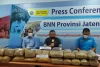 Penyelundupan 55 Kg Ganja Modus Karung Jeruk Jaringan Jawa-Sumatera