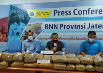 Penyelundupan 55 Kg Ganja Modus Karung Jeruk Jaringan Jawa-Sumatera