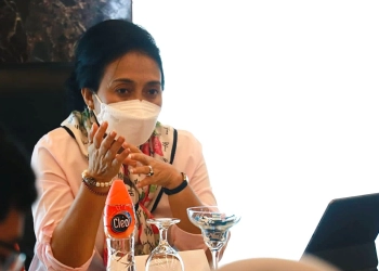 Pemerintah Bersinergi dengan Organisasi Masyarakat Implementasikan UU TPKS