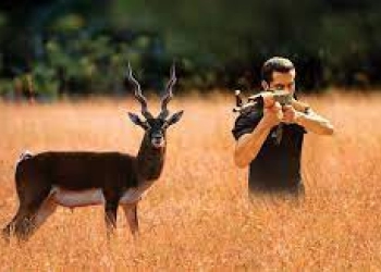 Komunitas Bishnoi Bangun Tugu Penghormatan Blackbuck yang Dibunuh oleh Salman Khan