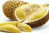 6 Cara Menyimpan Durian agar Awet Berhari-Hari