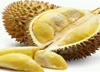 6 Cara Menyimpan Durian agar Awet Berhari-Hari