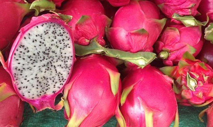 Sehatkan Usus Dengan Buah naga