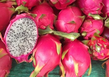 Sehatkan Usus Dengan Buah naga