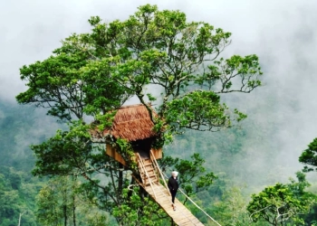 Desa Tempur, Wisata yang Super Tenang di Jepara tanpa Internet