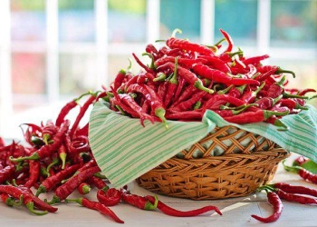 Cara Aman Goreng Cabai Agar Tidak Ada letusan