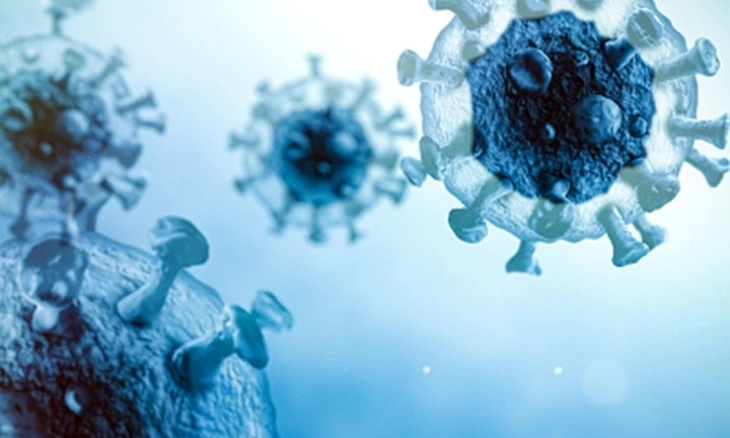 Dinas Kesehatan Lebak Banten Catat Penurunan Pasien Isolasi Covid-19