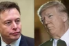 Elon Musk Ejek Donald Trump dan Mengatakan Sudah Waktunya untuk Dia Berlayar ke Matahari Terbenam