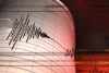 Gunung Berapi Bawah Laut Picu 85.000 Gempa Bumi dalam 4 Bulan