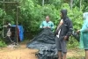 Harimau Sumatra Ditangkap 
