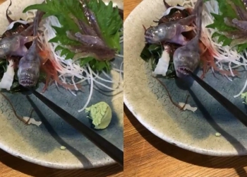 Heboh! Seekor Ikan yang Disajikan di Atas Piring sebagai Makanan Tiba-tiba Hidup