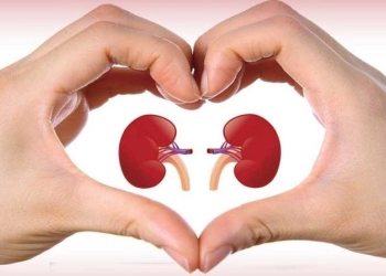 5 Cara Menjaga Kesehatan Ginjal