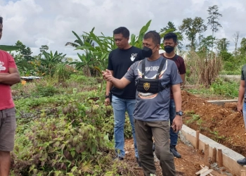 Spot Pertanian untuk Bantu  Meningkatkan Kesejahteraan Warga Kabupaten Yahukimo Papua