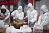 Virus Baru Langya Ditemukan di China