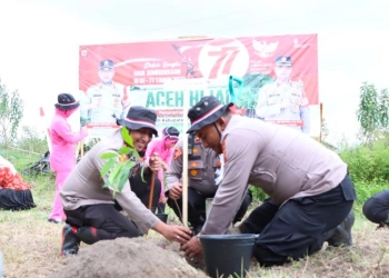 Aceh Hijau, Sebanyak 77.000 Pohon Ditanam