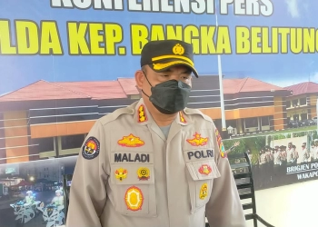 Terkuak Aktivitas Tambang Ilegal di Kawasan Hutan Konservasi di Kabupaten Bangka 