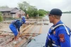 Ditpolairud Polda Kalteng Sita 200 Batang Kayu Meranti Pembalakn Liar di Sungai Mentaya