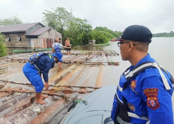 Ditpolairud Polda Kalteng Sita 200 Batang Kayu Meranti Pembalakn Liar di Sungai Mentaya
