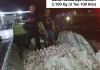 Polda Maluku Ungkap Penyelundupan 3.100 Kg Merkuri
