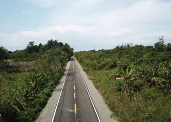 BUMN Garap Proyek Perbaikan Jalan Timor Leste Senilai US$23 Juta
