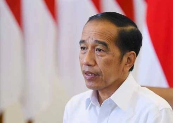 Presiden Jokowi Takut Krisis Pangan, 800 Juta Orang Terancam Kelaparan