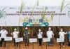 Menjaga Asa Swasembada Gula, ID Food Aktifkan Pabrik Gula Subang