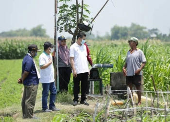 PLN Bantu Listrik Ramah Lingkungan Petani Bali 