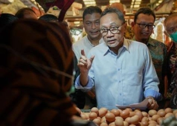Mendag Zulhas Gagal Turunkan Harga Telur Ayam 