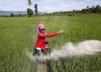 Jokowi Temui Putin, Urusan Pupuk Kelar, Perang Jalan Terus