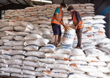 Krisis Pangan, IPB Apresiasi Survei Cadangan Beras BPS