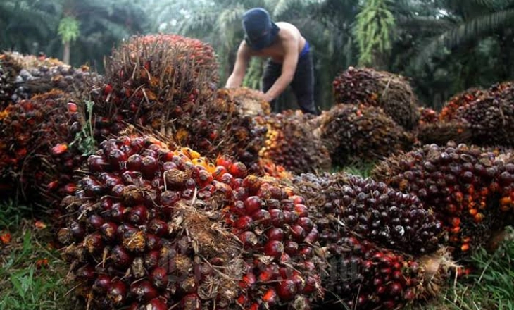 KKP Tangkap Dua Kapal Ikan Asing Berbendera Malaysia, Selamatkan Potensi Kerugian Rp19,9 Miliar