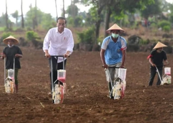 Besok, Jokowi Syukuran Bumi dengan 10 Ribu Petani di Batang