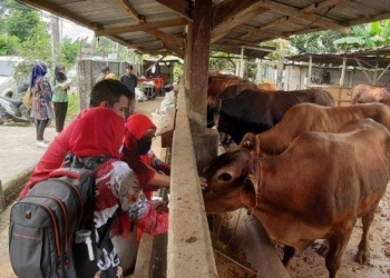Rencana Borong Jutaan Vaksin dari Prancis, DPR 'Bantai' Kementan