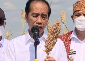 Percaya Krisis Pangan Sudah Terjadi, Presiden Jokowi Dorong Diversifikasi  