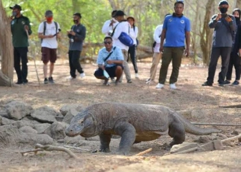 Plesiran ke Pulau Komodo, Menteri Sandi: Siapkan Rp4 Juta/Orang