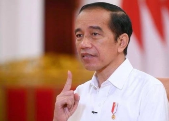 Jokowi Presiden Top, Berburu Investasi EBT Sampai ke Jerman 