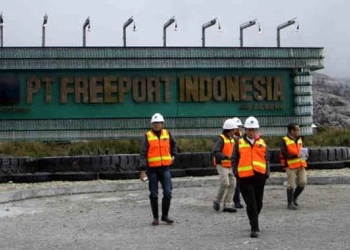 MIND ID Gelontorkan Puluhan Triliun Bangun Smelter Freeport di Gresik, Progress Lamban...