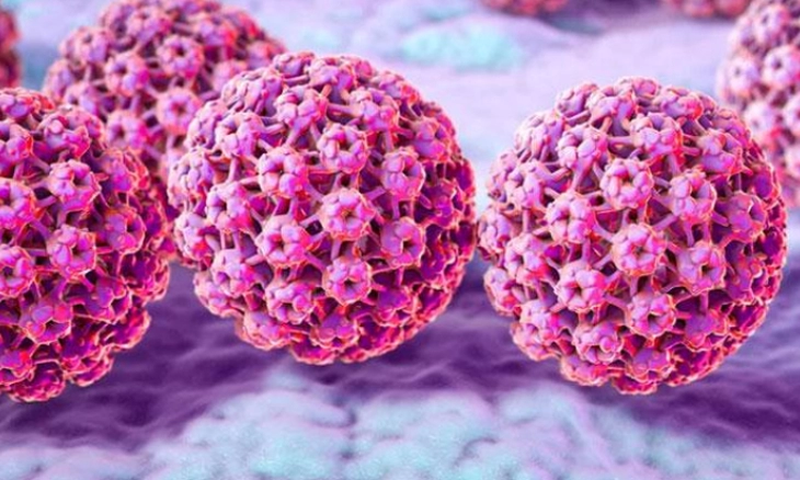 Studi: Ekstrak Jamur Membantu Sistem Kekebalan dalam Membersihkan Infeksi HPV